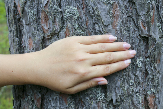 The girl put a hand on the tree trunk. The concept of unity with nature, to draw strength from nature.