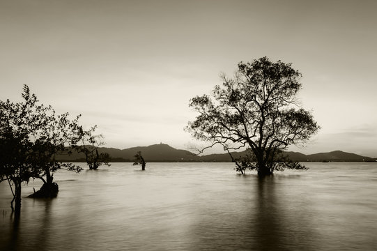 Fototapeta Seascape sunset long exposure technique black and white tone