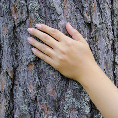 The girl put a hand on the tree trunk. The concept of unity with nature, to draw strength from nature.