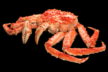 Red king crab isolated on black background