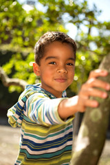 Hispanic little boy playing in a tree.