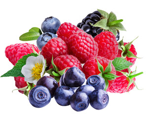 Bilberries, blueberries, raspberries and blackberries on white