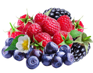 Bilberries, blueberries, raspberries and blackberries on white