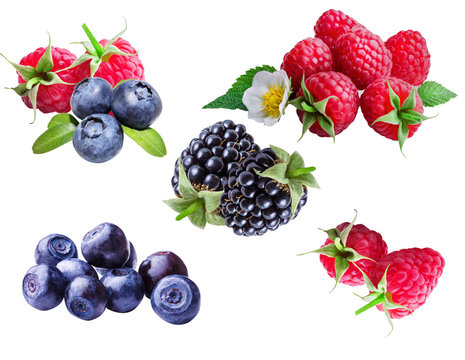 Collage of bilberries, blueberries, raspberries and blackberries