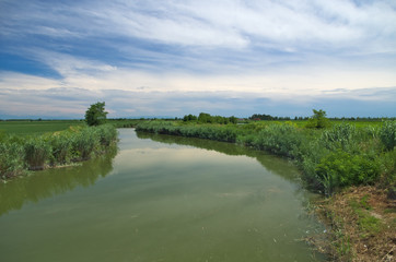 Summer view of river Lemene in the Venetian Plain with the Alps mountains in the background
