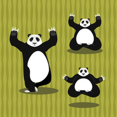 Panda Yoga meditating. Chinese bear on background of bamboo. Sta
