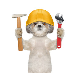 Cute dog builder holding tools in its paws - 116735054