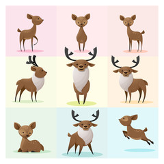 Set of Deer family , vector , illustration