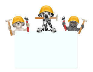 dogs and cat builders holding tools in their paws