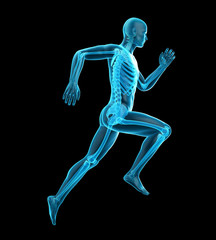 3d rendered medically accurate illustration of a runners skeleton