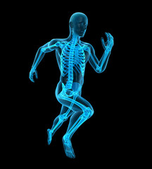 3d rendered medically accurate illustration of a runners skeleton
