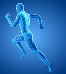 3d rendered medically accurate illustration of a runners skeleton