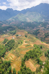 Fototapeta premium Traditional Vietnamese landscape with mountains and rice paddies