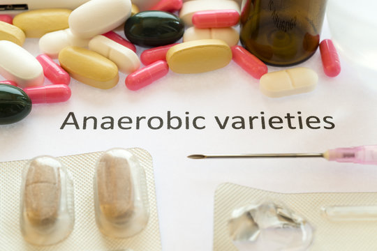 Medical Report About Anaerobic Bacteria Varieties And  Medicamen