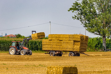 tractor loads hay bales on trailer