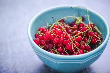 redcurrant in bowl