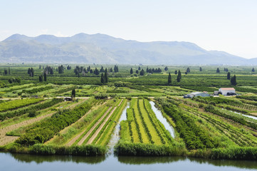 Felder im Delta der Neretva in Kroatien