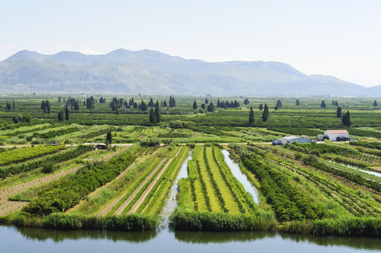 Felder im Delta der Neretva in Kroatien