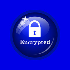 Encrypted icon