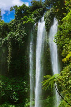 Sekumpul waterfall - Bali island Indonesia
