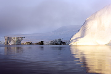 Icebergs are on the arctic ocean on sunset time with shadow
