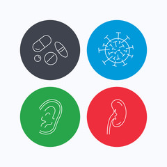 Medical pills, virus and ear icons.