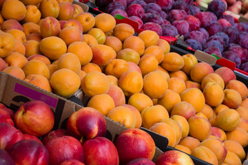 fruit market closeup - peaches, nectarines and plums