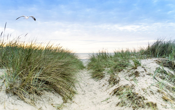 D&uuml;nen am Strand