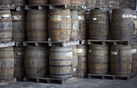 wooden barrels stacked in the distillery