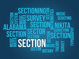 section