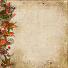 Grunge background with autumn leaves and rowan