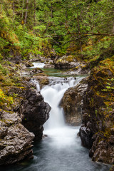Fototapeta premium Little Qualicum Falls on Vancouver Island, Canada
