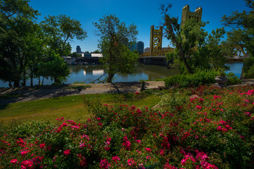 Obraz premium Tower Bridge Sacramento California
