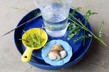 fake foods of baby girl played