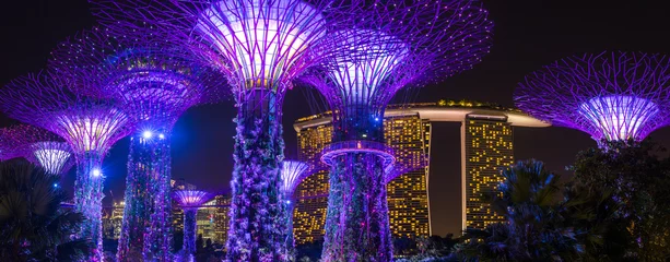 Rolgordijnen Nachtzicht op verlicht Supertree Grove in Gardens by the Bay in Singapore © Mazur Travel