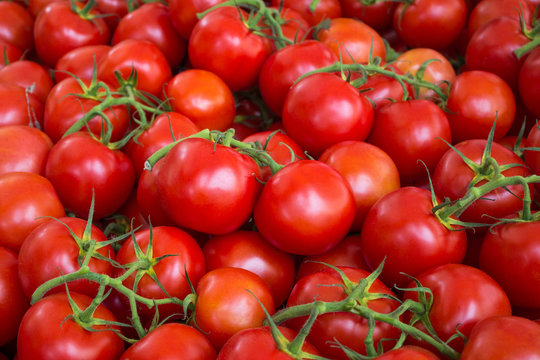 red, raw tomatoes, tomato background
