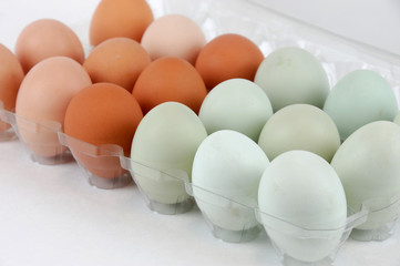 chicken eggs with different color in the container