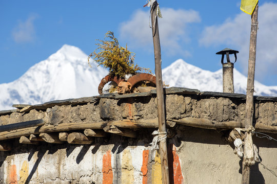 Ram skull on the house roof in Lower Mustang region in Nepal