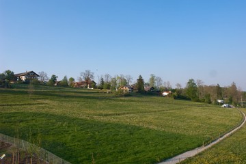 Bergwiese bei Bad tölz