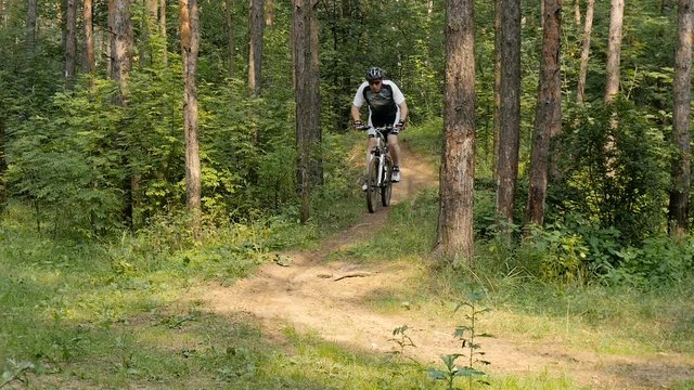 Cyclist rides through the forest
