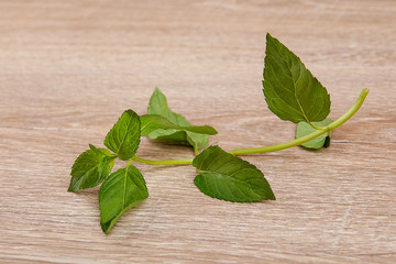 Sprig of mint on a wooden background