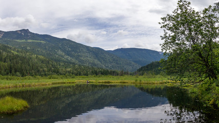 Fototapeta na wymiar Clear summer mountain lake with forest
