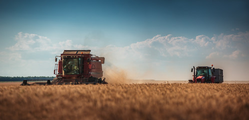 Combine harvester agriculture machine harvesting golden ripe whe
