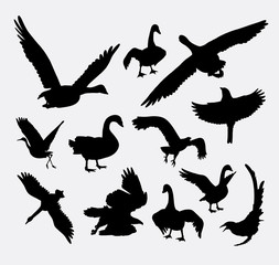 Duck, goose, swan, eagle bird silhouette. good use for symbol, logo, web icon, mascot, avatar, sticker, sign, or any design you want.