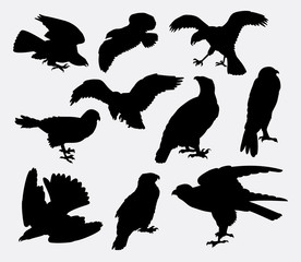 Naklejka premium Falcon, eagle, hawk bird silhouette. Good use for symbol, logo, web icon, mascot, sign, or any design you want.