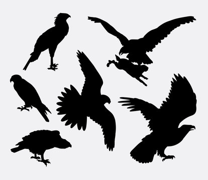 Eagle, hawk, falcon, pose bird silhouette. Good use for symbol, logo, web icon, mascot, sticker design, sign, avatar, or any design you want. Easy to use.