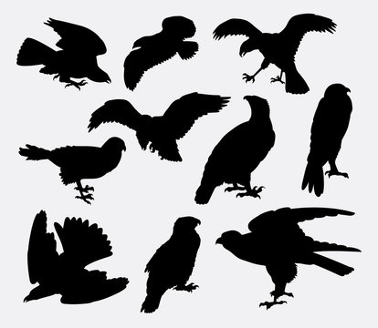 Falcon, eagle, hawk bird silhouette. Good use for symbol, logo, web icon, mascot, sign, or any design you want.