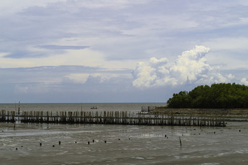 Fototapeta na wymiar Bamboo wall protect scour from sea tide at seashore.