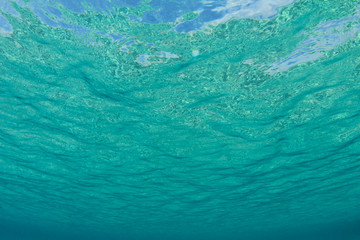 Underwater background in sea