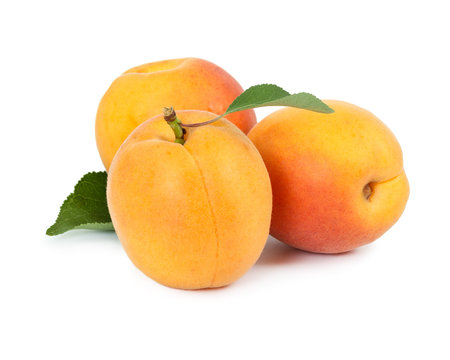 Three fresh apricot